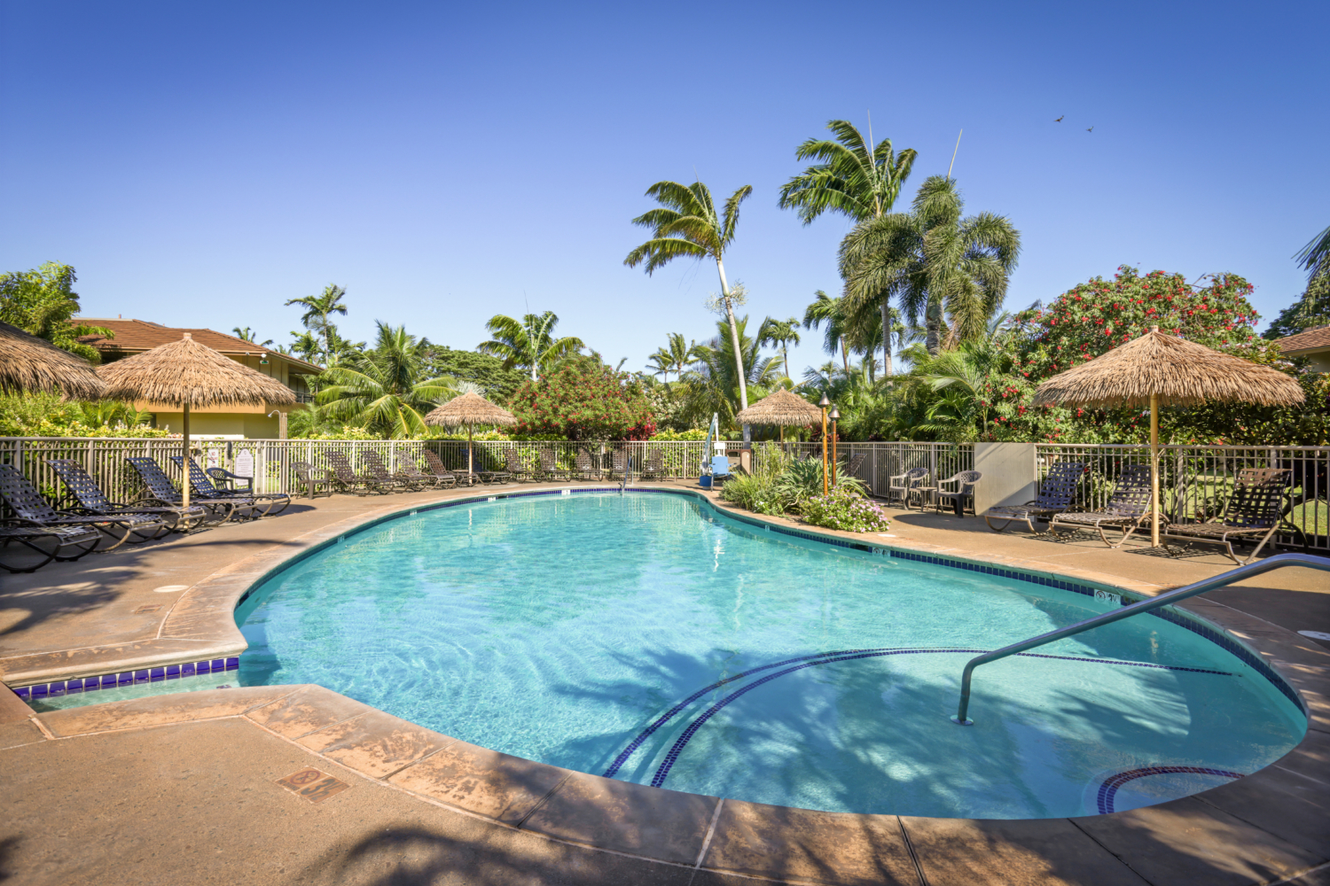 MKV-Pool (21) 8192x5464 at Maui Kaanapali Villas