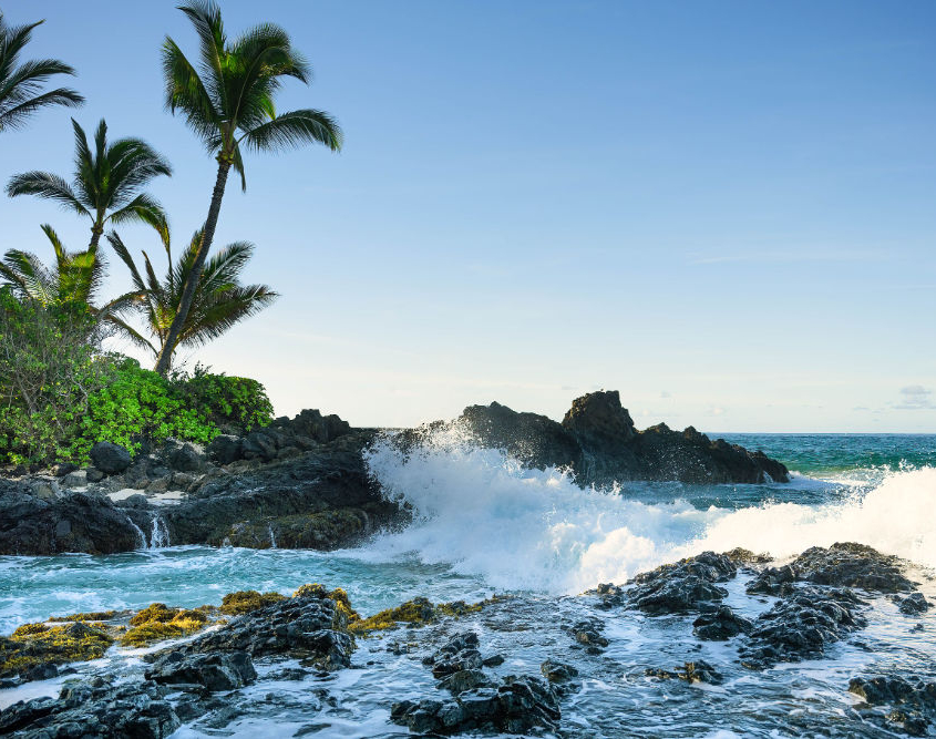 AAA-Offer_MKV_1000x667 - Cove image