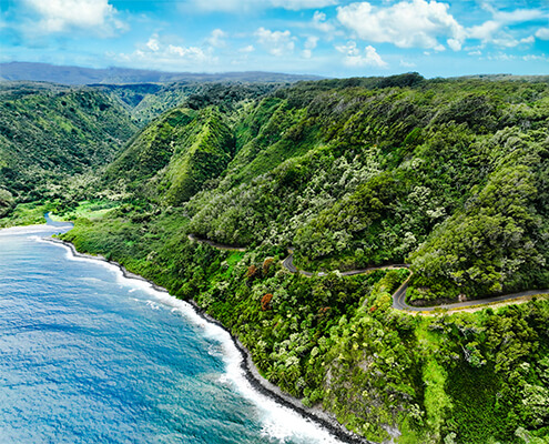 Aerial view of lush green moutain side with blue ocean below.